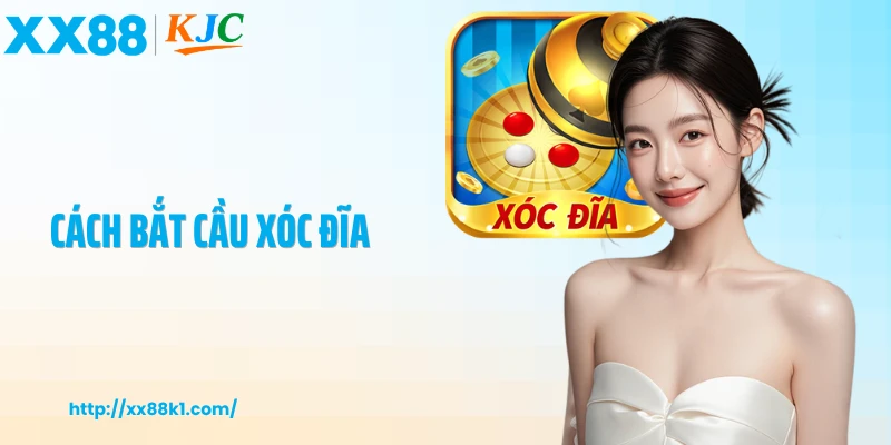 Cách Bắt Cầu Xóc Đĩa Chuẩn Xác Và Mẹo Quan Sát Hiệu Quả Nhất